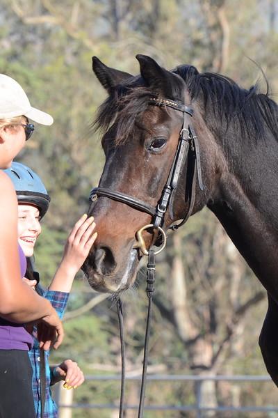 Classica enjoys a nose rub. (Square Peg Foundation/Robyn Peters Photography )
